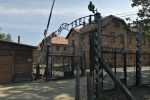 Nach Auschwitz mit dem eMPORIUM Schwanstetten e.V. IMG_20190817_102712 Presse