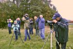 Vogelbeobachter waren überrascht 20191005 Kauerlacher Weiher - T.Rödl