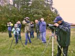 Vogelbeobachter waren überrascht 20191005 Kauerlacher Weiher - T.Rödl