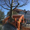 Ein Baum wird gerade gerückt Plantane-20200423_Platane_StadtRoth_03