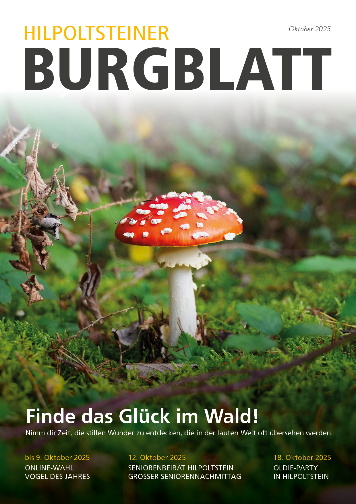 BB 2025-10